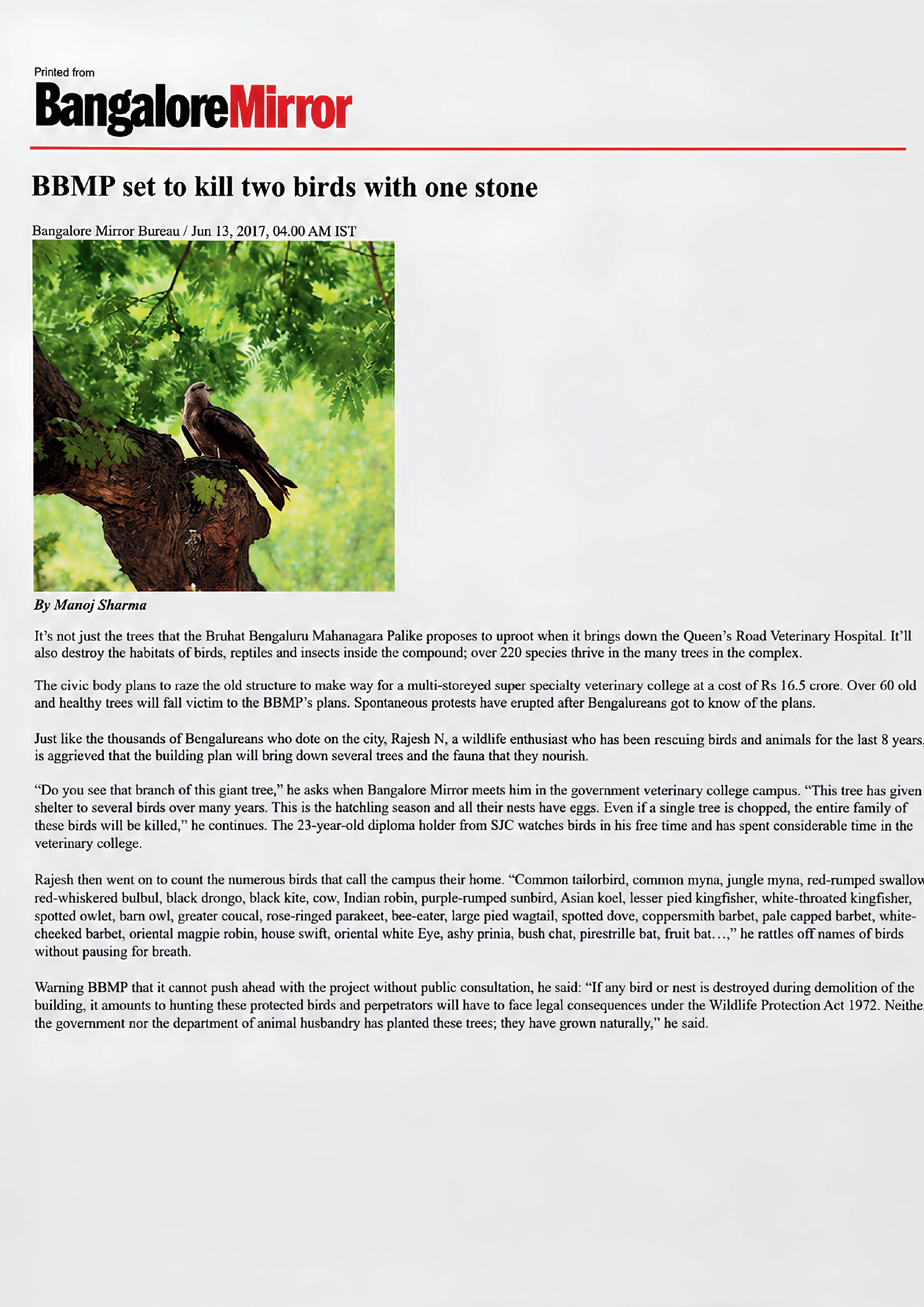 Animal Rescuers Bangalore