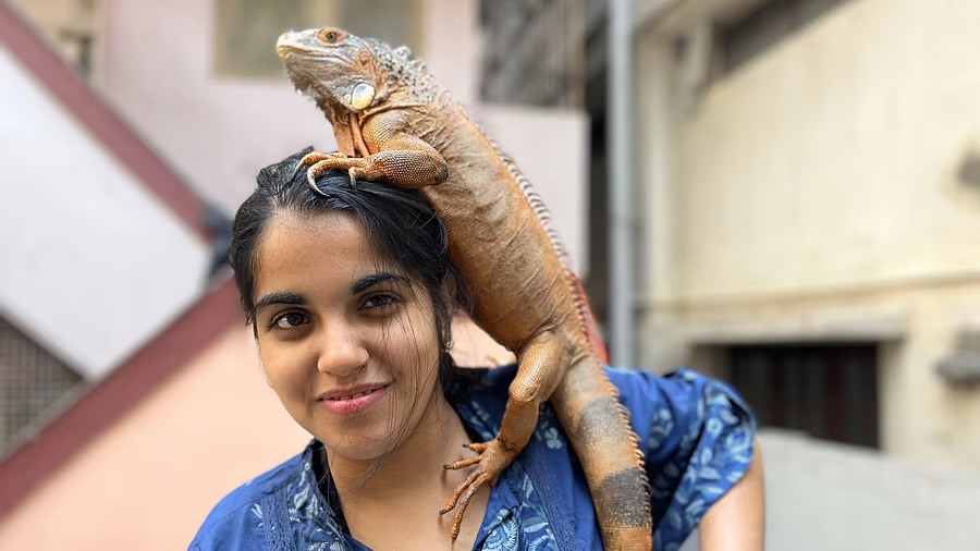 Animal Rescuers Bangalore